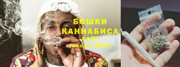 прущие грибы Новодвинск