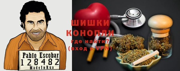 шишки Новокубанск