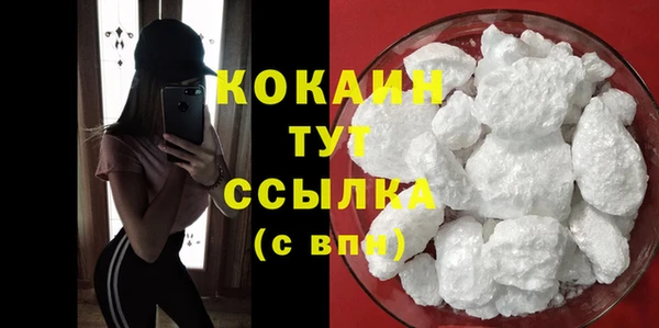 шишки Новокубанск