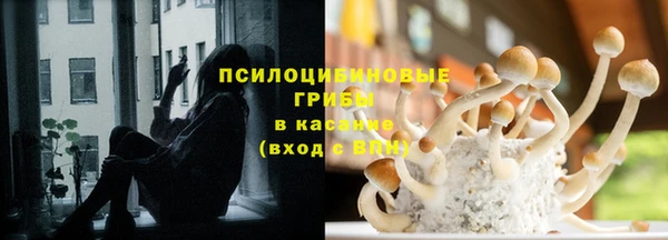 первитин Новозыбков