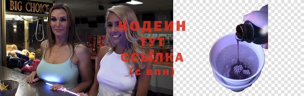 прущие грибы Новодвинск