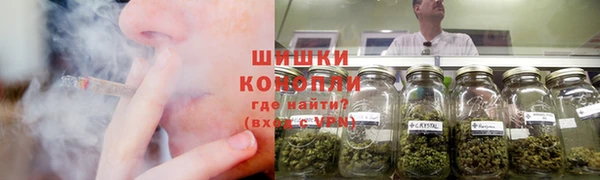 шишки Новокубанск