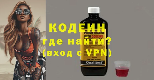 прущие грибы Новодвинск