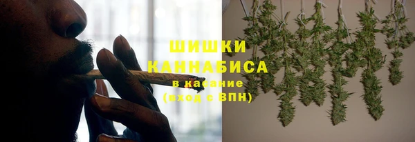 шишки Новокубанск