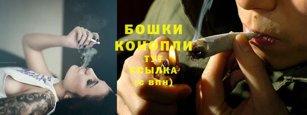 прущие грибы Новодвинск