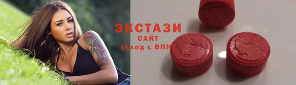 прущие грибы Новодвинск