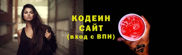 шишки Новокубанск