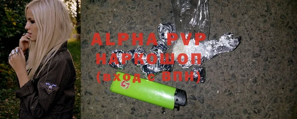 прущие грибы Новодвинск