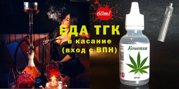 прущие грибы Новодвинск