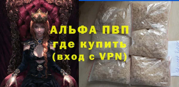 прущие грибы Новодвинск