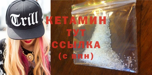 прущие грибы Новодвинск