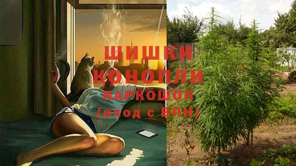 первитин Новозыбков