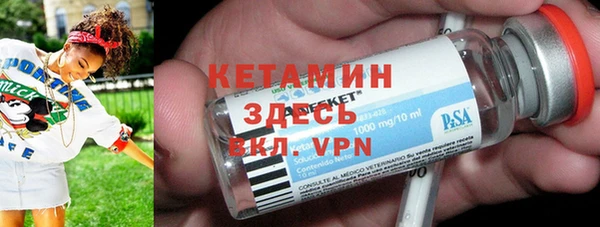 прущие грибы Новодвинск