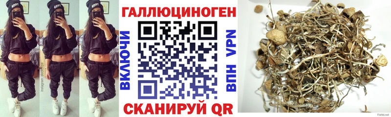 KRAKEN ТОР  даркнет сайт  Сургут  Галлюциногенные грибы GOLDEN TEACHER 