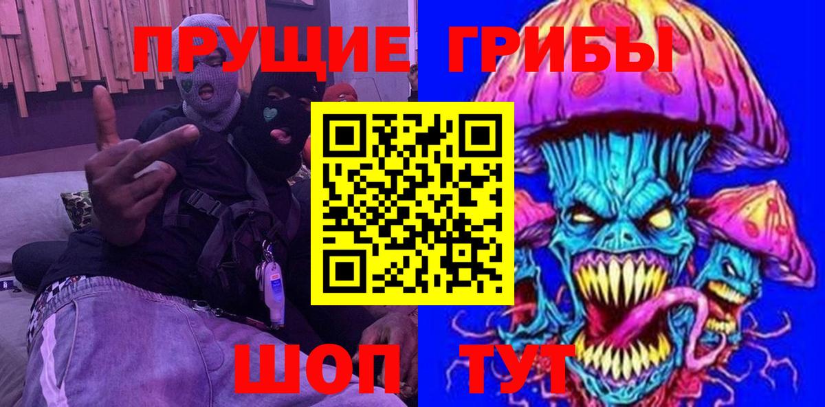 Сургут  Галлюциногенные грибы Cubensis  Вход с VPN 